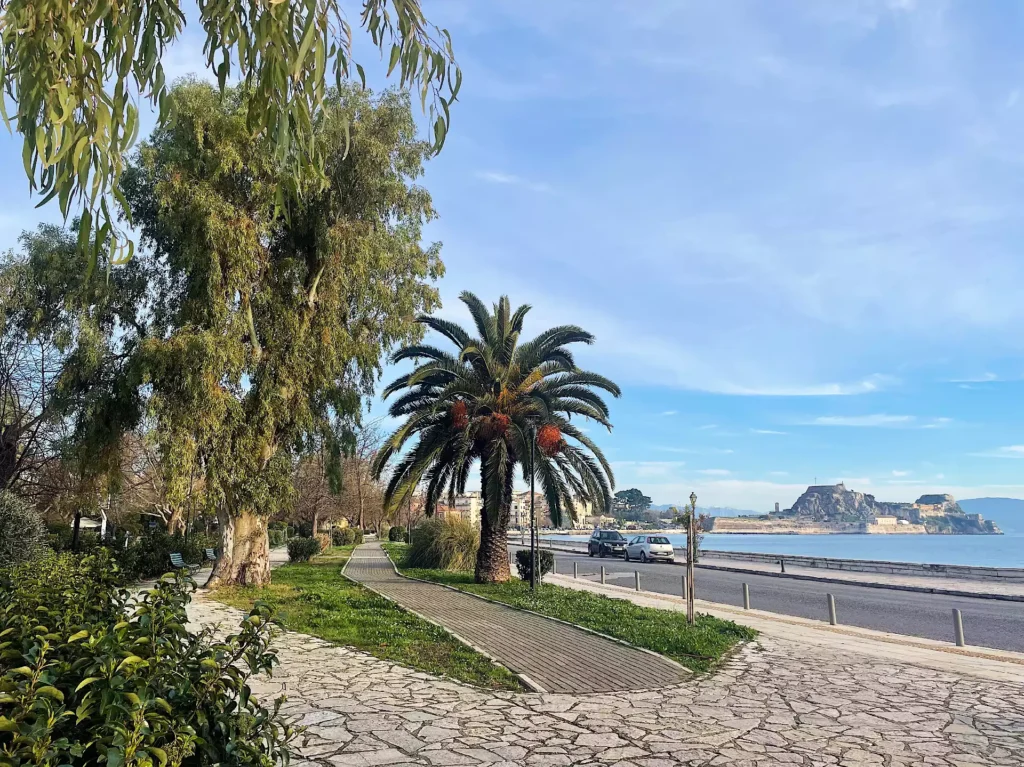 garitsa bay promenade with Old Fortress view and palm trees