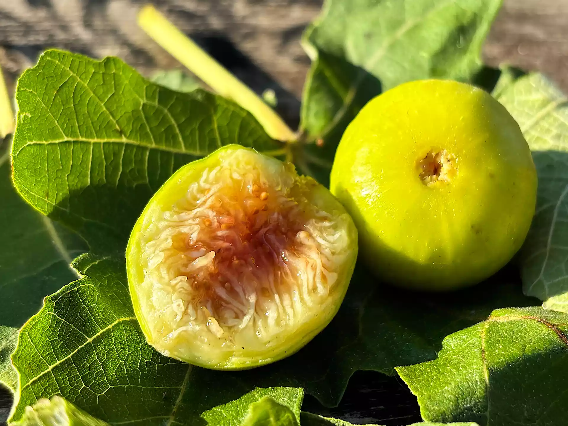 Yellow ripe figs with juicy flesh in Corfu, Greece